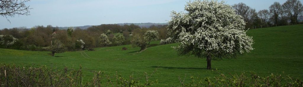 Paysage de bocage en Puisaye