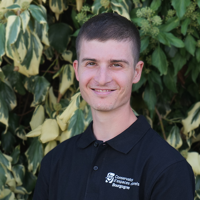 Alexandre Alavoine - Chargé d'études
Garde-technicien de la Réserve Naturelle Nationale du Val de Loire