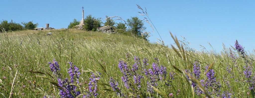 Pelouses calcaires, milieux naturels à Moroges