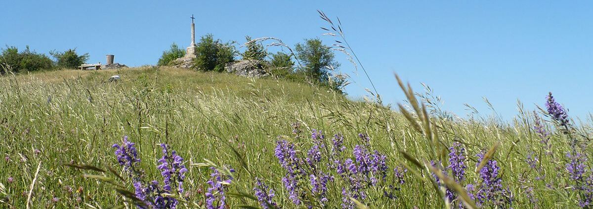 Pelouses calcaires, milieux naturels à Moroges (71)