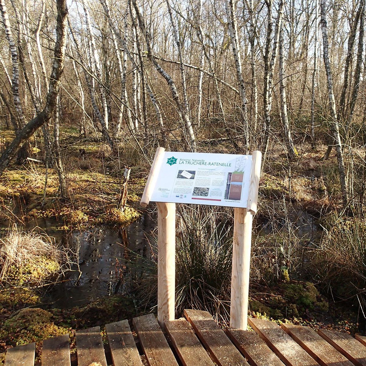 Pilotis sur la tourbière