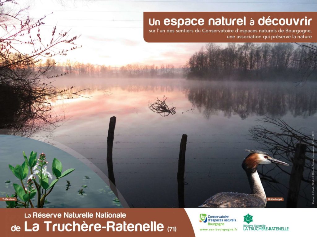 L'étang de la Réserve Naturelle Nationale de La Truchère Ratenelle, sa faune et sa flore