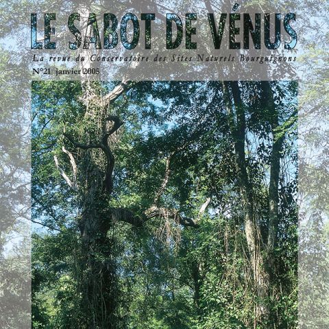 Couverture Sabot de Vénus n°21