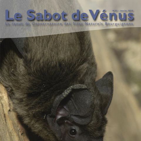 Couverture Sabot de Vénus n°31