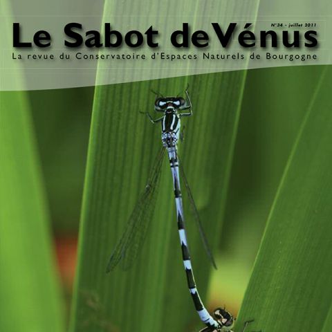 Couverture Sabot de Vénus n°34