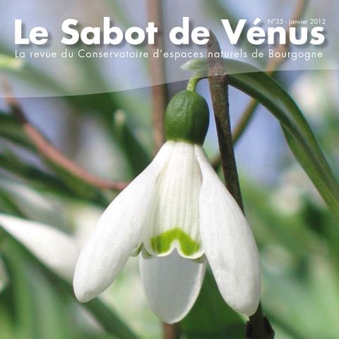 Couverture Sabot de Vénus n°35