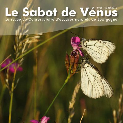 Couverture Sabot de Vénus n°36
