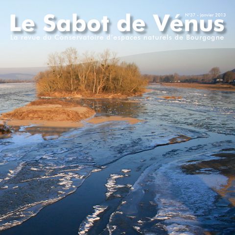 Couverture Sabot de Vénus n°37
