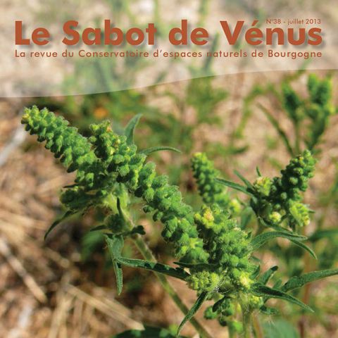 Couverture Sabot de Vénus n°38
