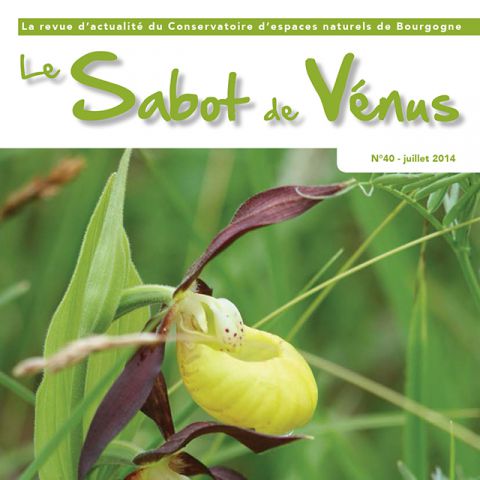 Couverture Sabot de Vénus n°40