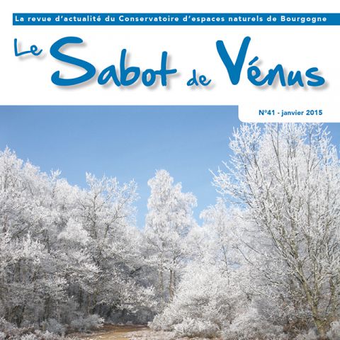 Couverture Sabot de Vénus n°41