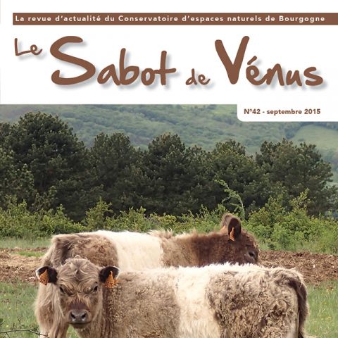 Couverture Sabot de Vénus n°42