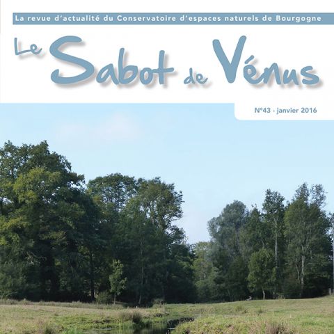 Couverture Sabot de Vénus n°43