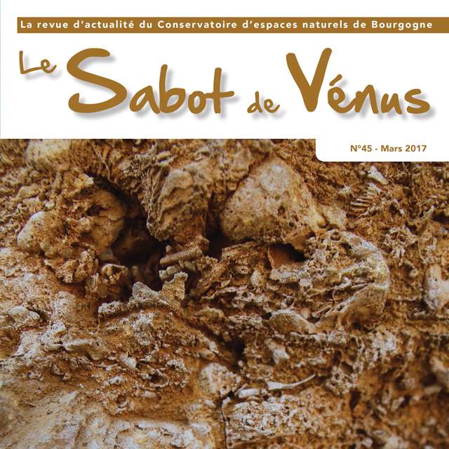 Couverture Sabot de Vénus n°45