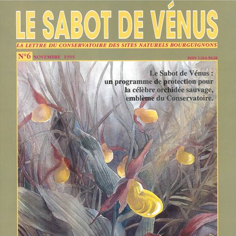 Couverture Sabot de Vénus n°6