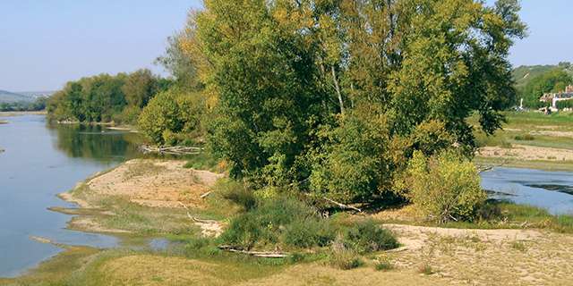 Îlots sableux sur la Loire