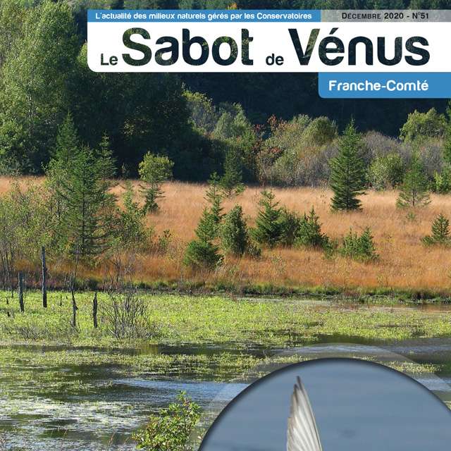 Couverture Sabot de Vénus Franche-Comté 
n°51