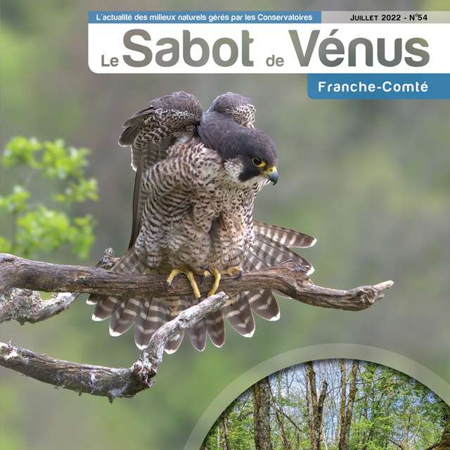 Couverture Sabot de Vénus Franche-Comté 
n°54