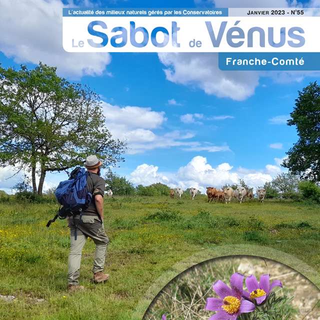 Couverture Sabot de Vénus Franche-Comté 
n°55