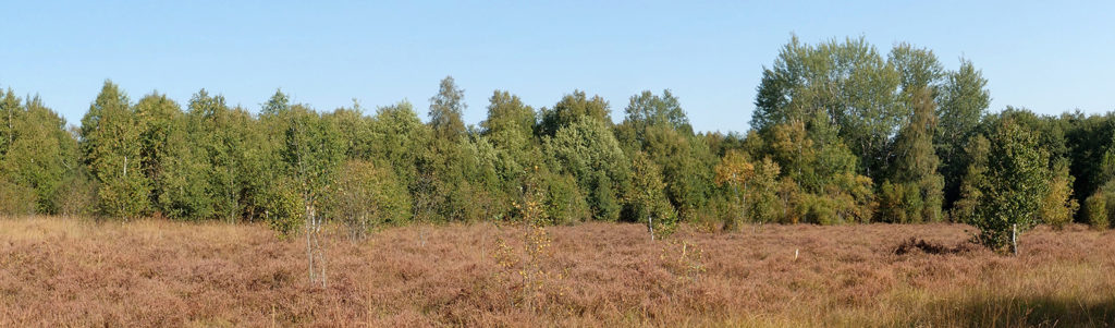 Le Furtiau à Montsauche-les-Settons (58)