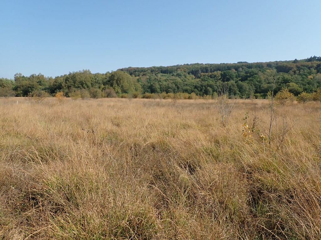 Le site du Furtiau à Montsauche-les-Settons (58)