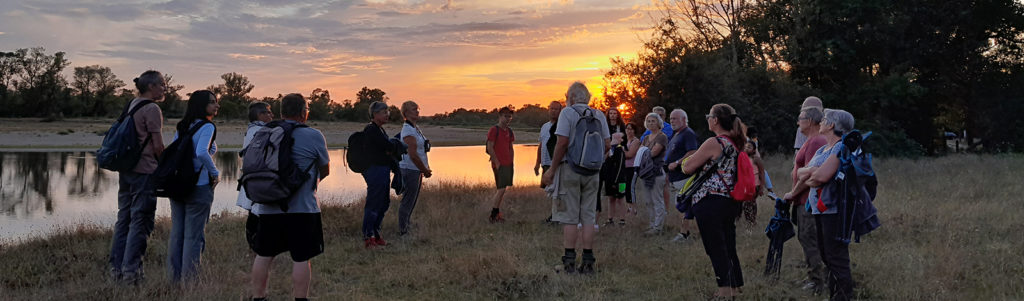 Animation nature en bord de Loire