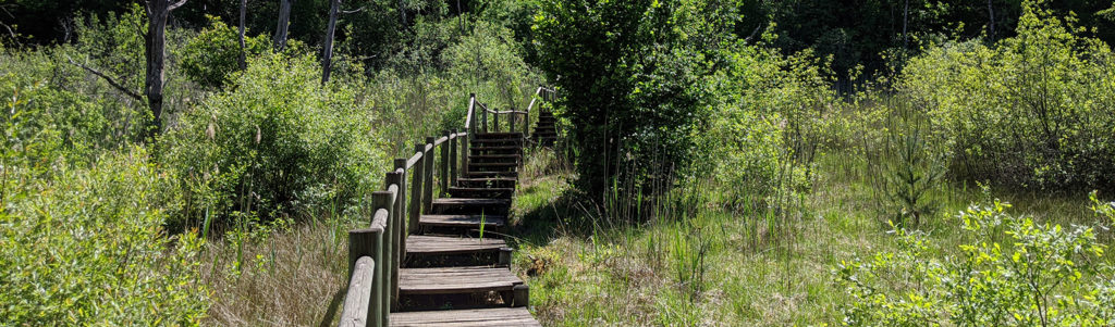 Sentier sur pilotis au Marais du Cônois