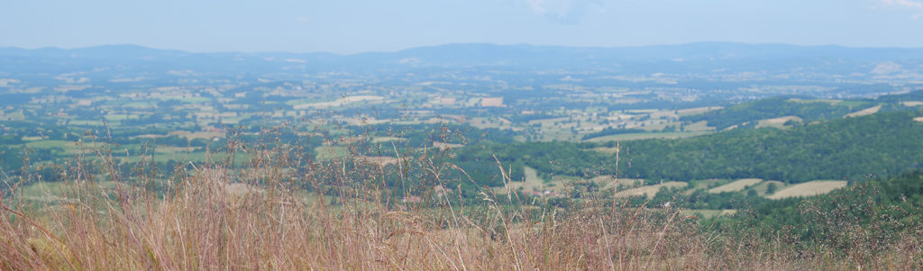 Pelouses acides, milieux naturels à Uchon