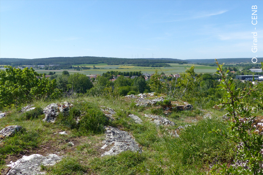 Panorama depuis le Mont de Marcilly-sur-Tille