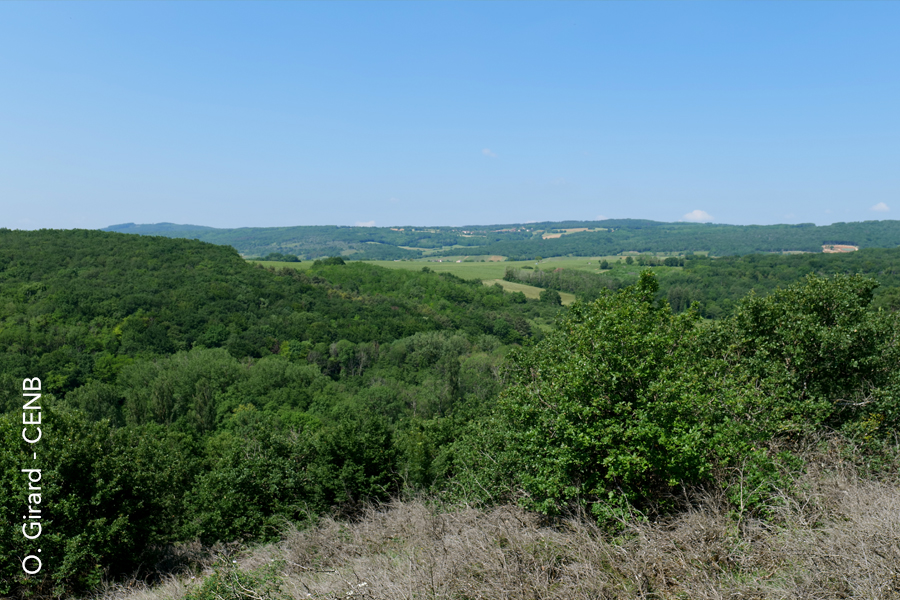 Panorama depuis la Teppe de La Boucherette à Lugny