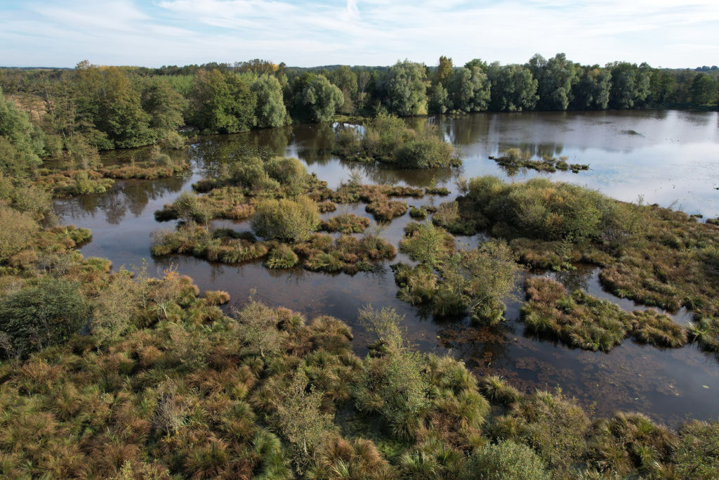 vue aérienne de l'étang Fouget