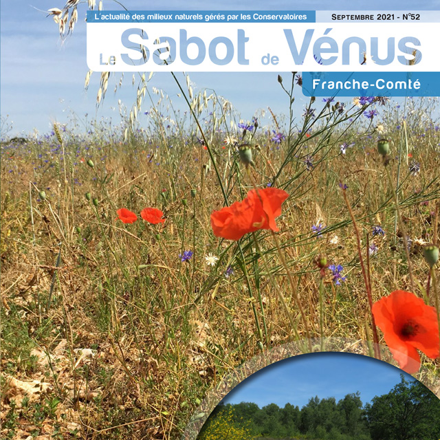 Couverture Sabot de Vénus Franche-Comté 
n°52