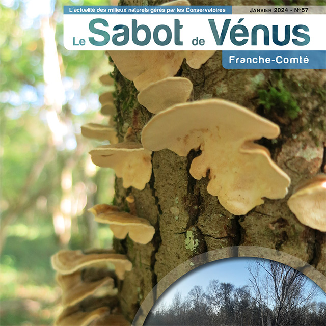 Couverture Sabot de Vénus Franche-Comté 
n°57