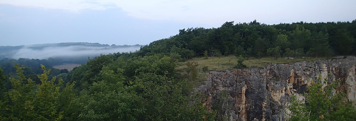 Carrière de Bois du Parc