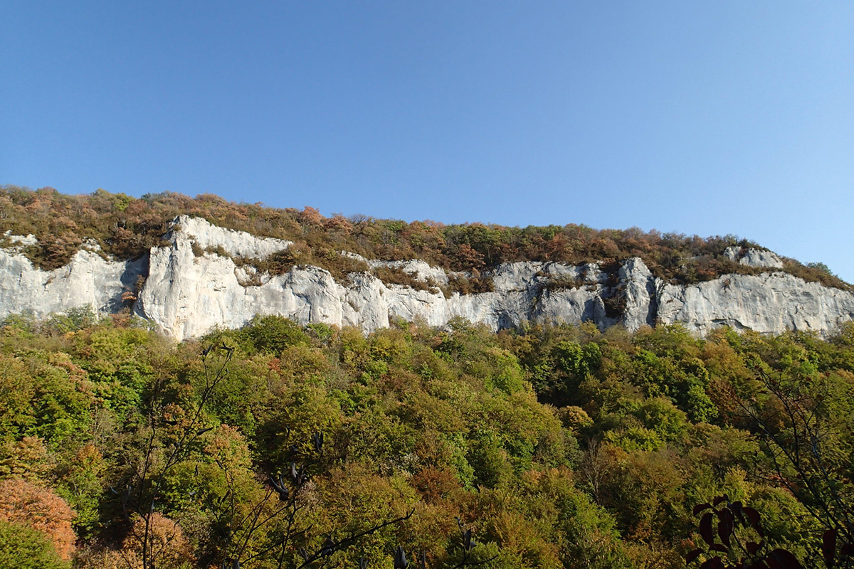 Falaises Combe à la Vieille