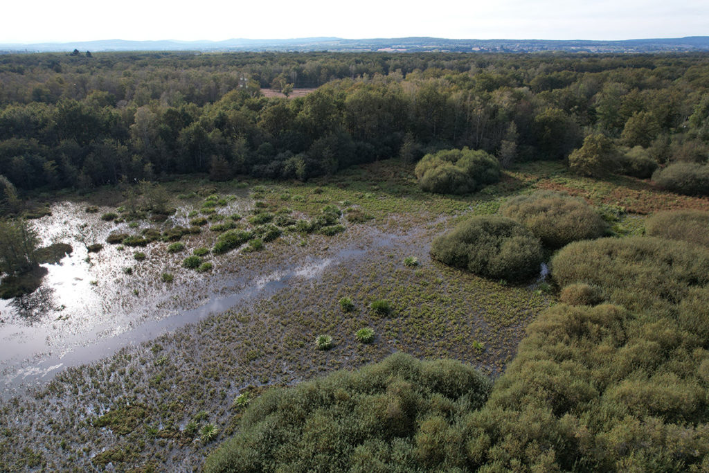 Vue aerienne réserve naturelle