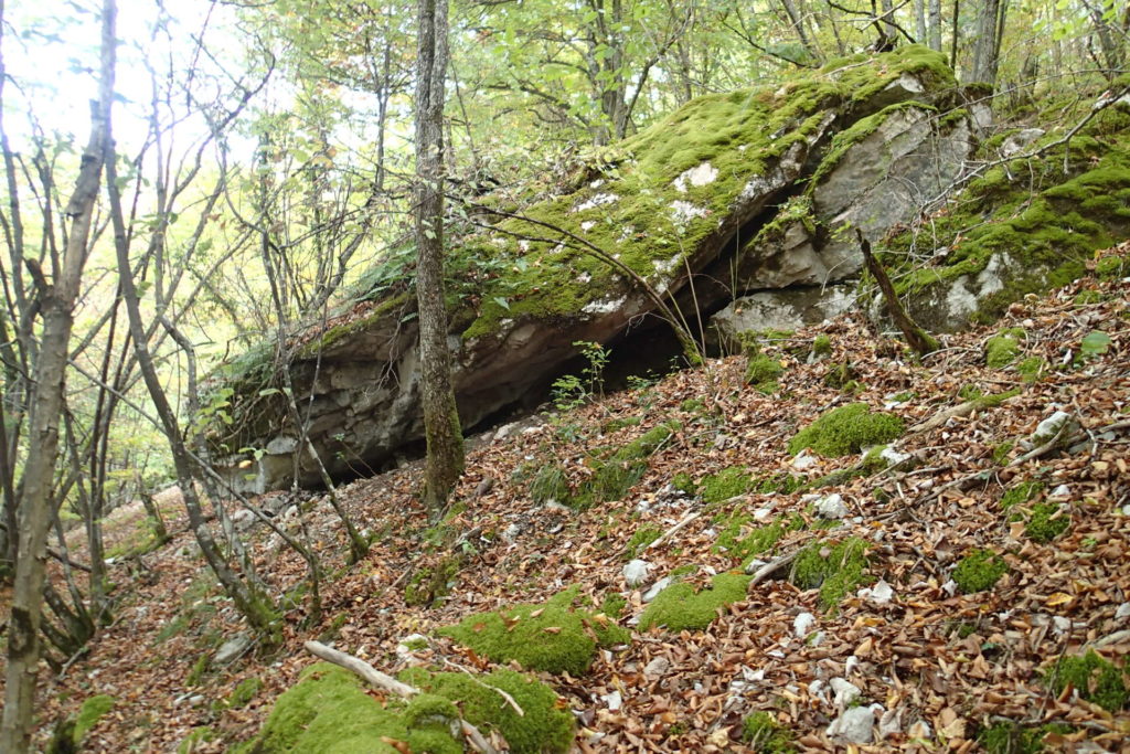 Foret Combe à la Vieille