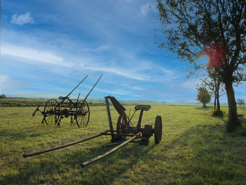 Prairie de Bresse