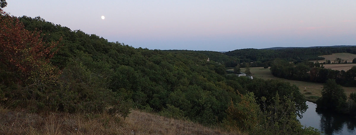 Crepuscule Bois du Parc