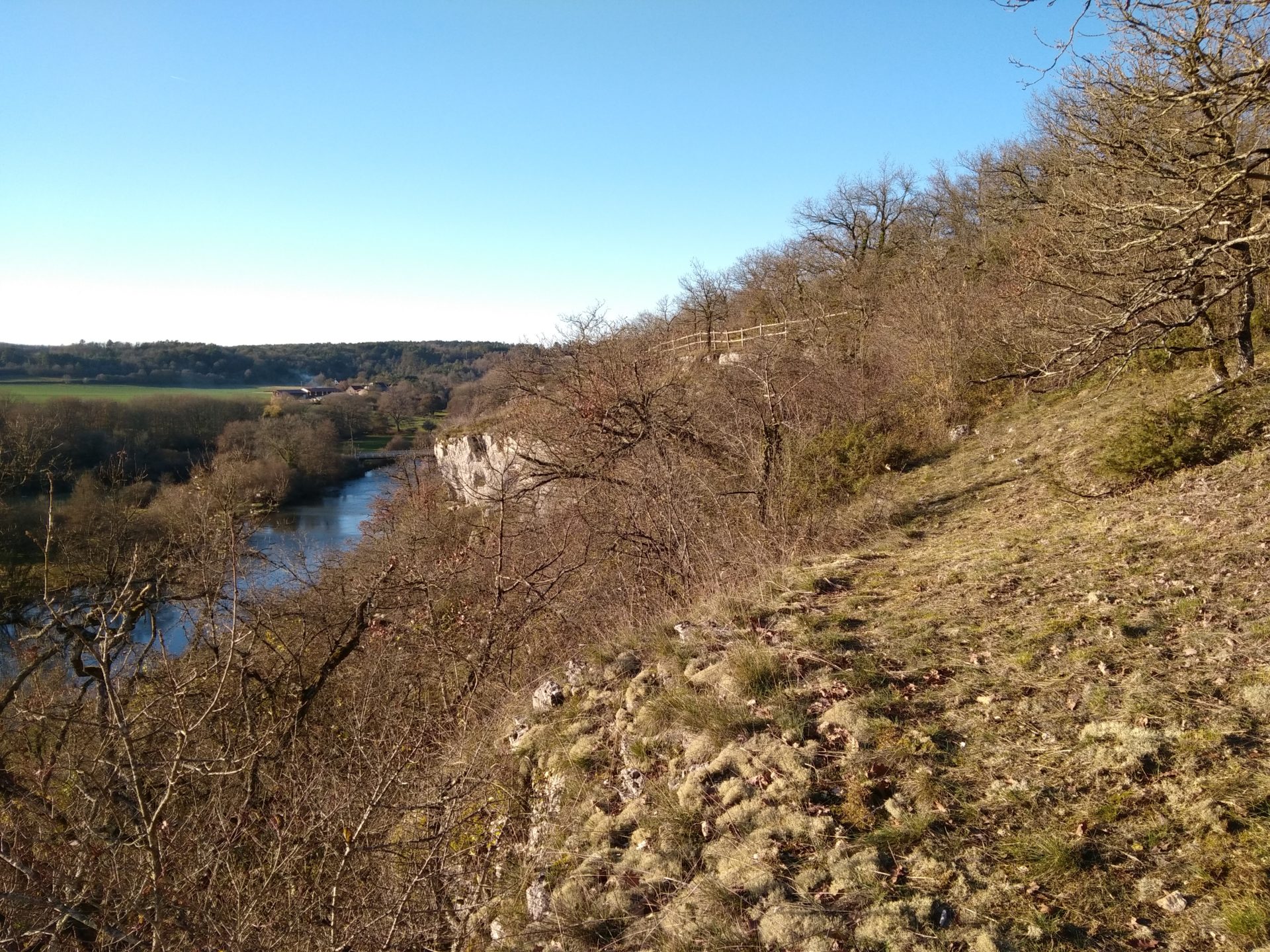 Pelouse Bois du Parc