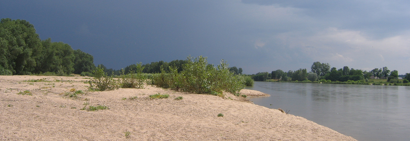 La Loire