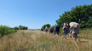 Animation sur une pelouse calcaire de l'Yonne
