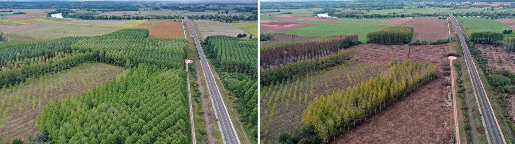 Vue aérienne des travaux de restauration du site de Corne Jacquin (Photos agence Citron Givré)