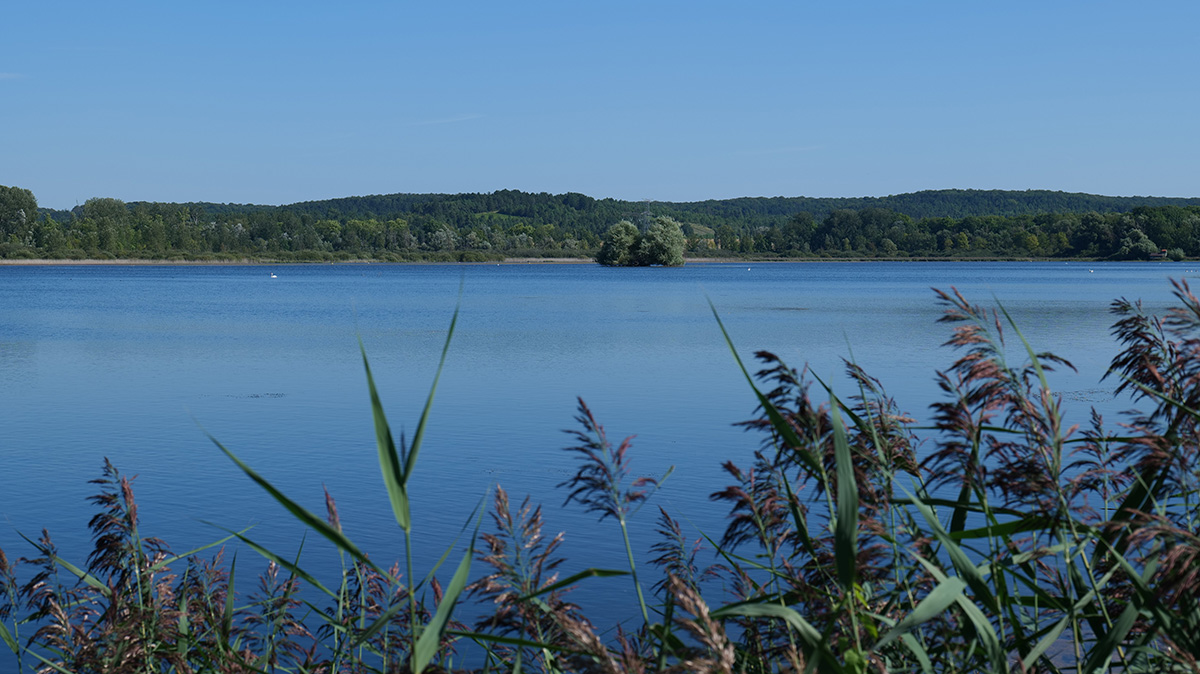 L'étang de Marcenay (21)