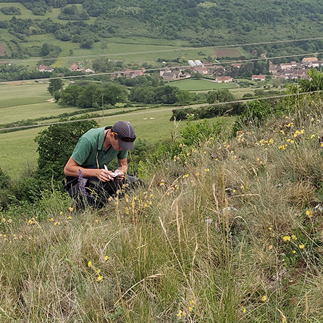 Botaniste sur le terrain