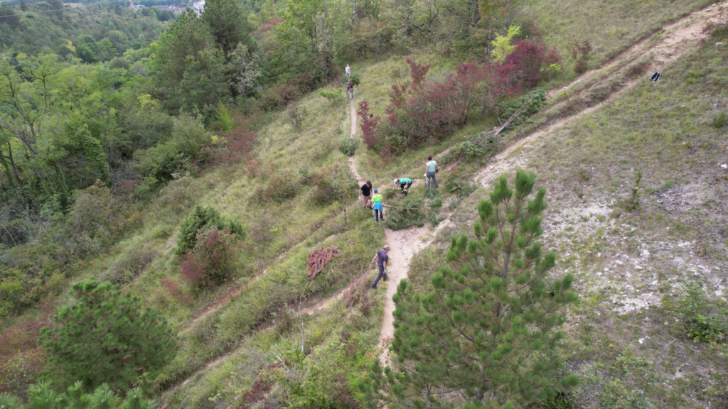 Chantier d'arrachage de pins sur l'espaces naturels des Pelouses et combes de la Vallée de l'Ouche (21)