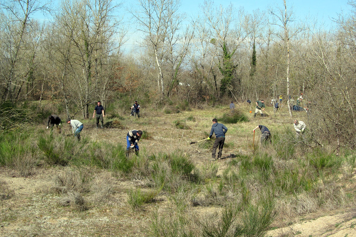 Chantier nature de débroussaillage sur les bords de Loire