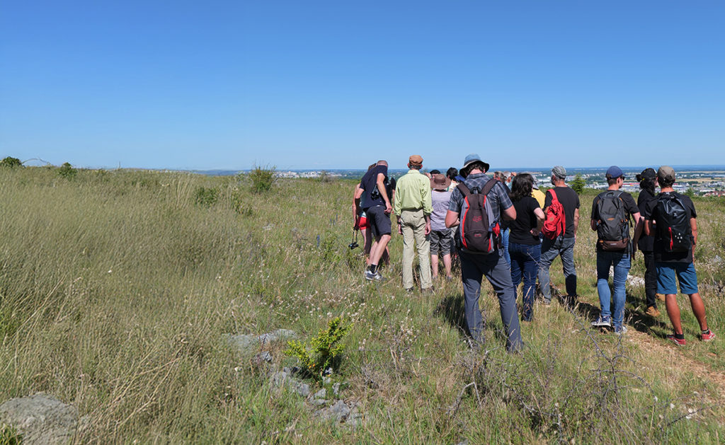 Sortie nature sur les pelouses