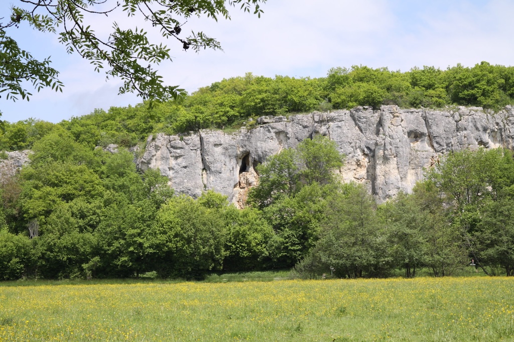 Falaises de la Réserve Naturelle Nationale du Bois du Parc