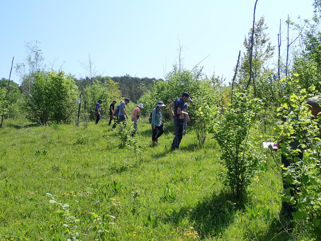 Chantier nature de comptage de Sabot de Vénus